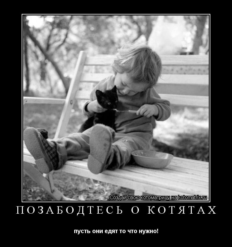 Котоматрица: позабодтесь о котятах пусть они едят то что нужно!