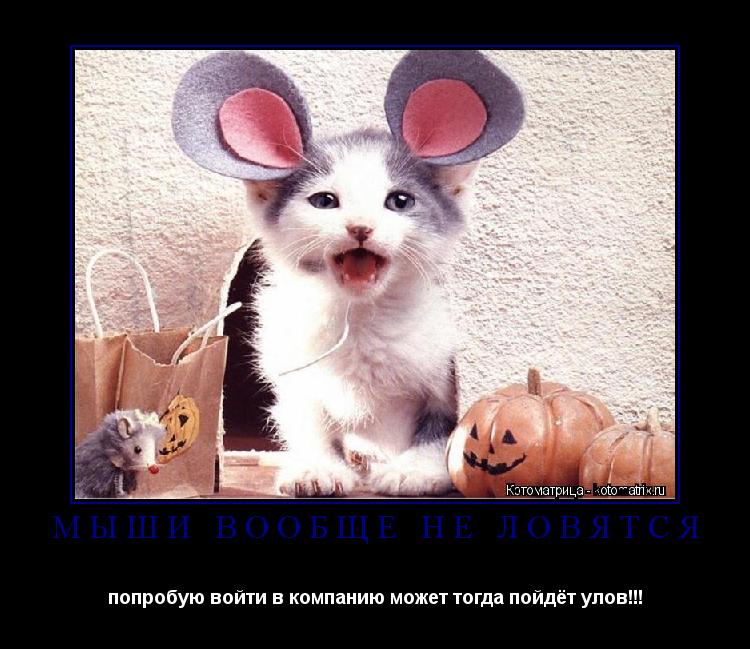 Котоматрица: мыши вообще не ловятся попробую войти в компанию может тогда пойдёт улов!!!