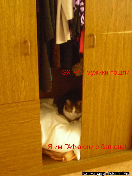 Котоматрица: ЭХ ну и мужики пошли Я им ГАФ а они с балкона!
