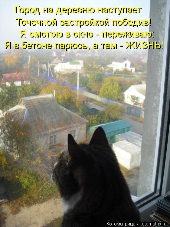 Котоматрица: Город на деревню наступает  Точечной застройкой победив! Я смотрю в окно - переживаю: Я в бетоне парюсь, а там - ЖИЗНЬ!
