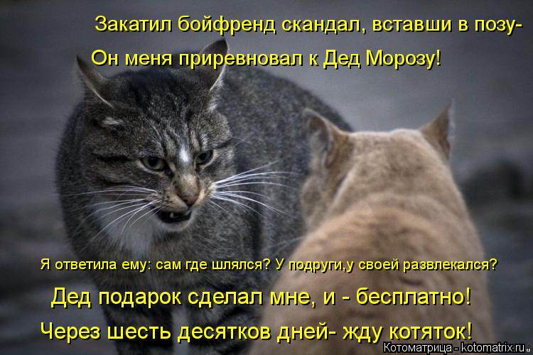 Котоматрица: Я ответила ему: сам где шлялся? У подруги,у своей развлекался? Закатил бойфренд скандал, вставши в позу- Дед подарок сделал мне, и - бесплатно!