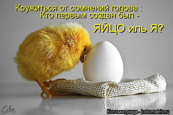 Котоматрица: Кружиться от сомнений голова : Кто первым создан был - ЯЙЦО иль Я?