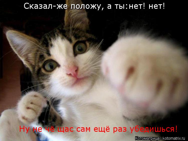 Котоматрица: Сказал-же положу, а ты:нет! нет! Ну не чё щас сам ещё раз убедишься!