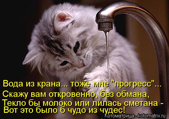 Вода из крана... тоже мне "прогресс"... Скажу вам откровенно, без обмана, Текло бы молоко или лилась ... Котоматрица: Вода из крана... тоже мне "прогресс"... Скажу вам откровенно, без обмана, Текло бы молоко или лилась сметана - Вот это было б чудо из чудес!