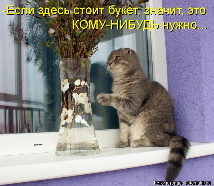Котоматрица: -Если здесь стоит букет, значит, это КОМУ-НИБУДЬ нужно...