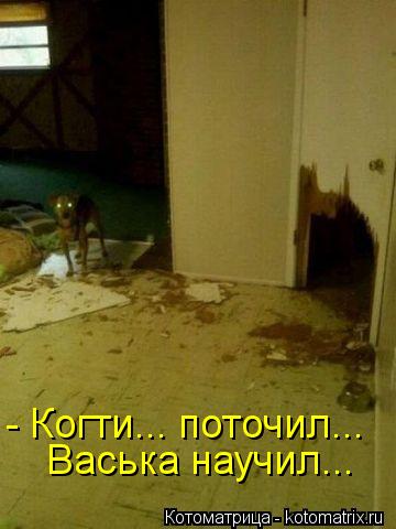 - Когти... поточил... Васька научил...... Котоматрица: - Когти... поточил... Васька научил...