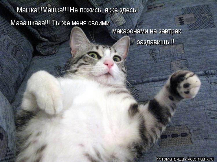Котоматрица: Машка!!!Машка!!!!Не ложись, я же здесь! Мааашкааа!!! Ты же меня своими  макаронами на завтрак раздавишь!!!