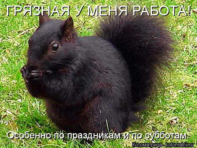 Котоматрица: ГРЯЗНАЯ У МЕНЯ РАБОТА! Особенно по праздникам и по субботам.
