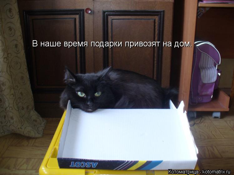 Котоматрица: В наше время подарки привозят на дом.