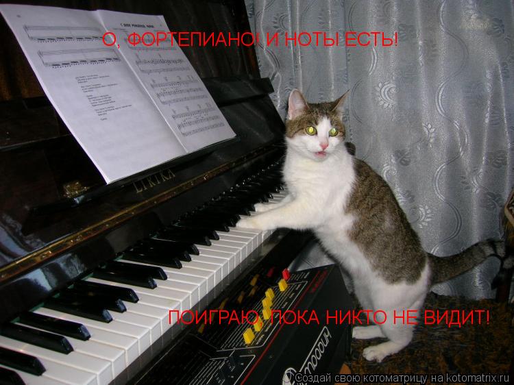 Котоматрица: О, ФОРТЕПИАНО! И НОТЫ ЕСТЬ! ПОИГРАЮ, ПОКА НИКТО НЕ ВИДИТ!