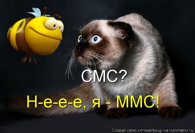 Котоматрица: СМС? Н-е-е-е, я - ММС!