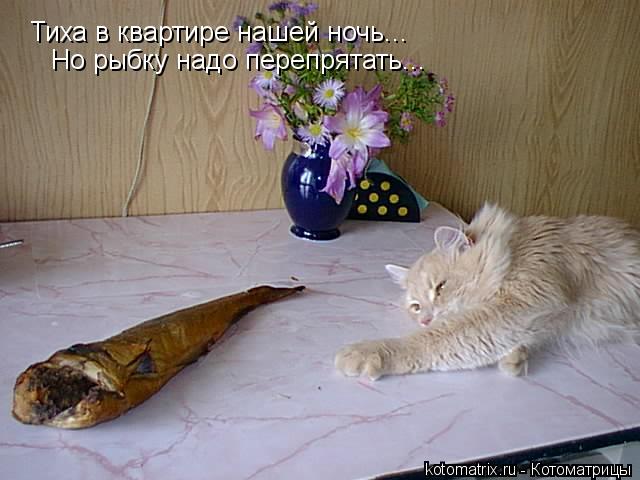 Котоматрица: Тиха в квартире нашей ночь... Но рыбку надо перепрятать...