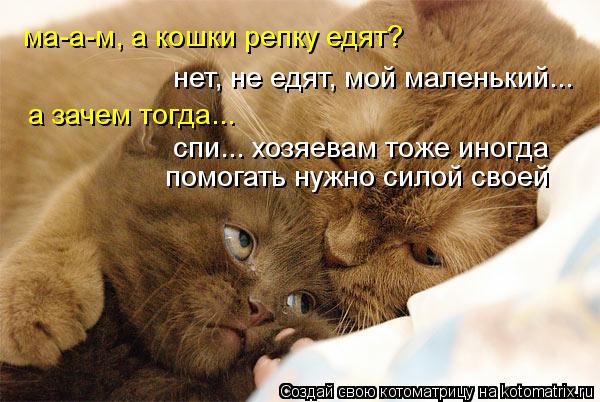 ма-а-м, а кошки репку едят? нет, не едят, мой маленький... а зачем тогда... спи... хозяевам тоже иног... Котоматрица: ма-а-м, а кошки репку едят? нет, не едят, мой маленький... а зачем тогда... спи... хозяевам тоже иногда помогать нужно силой своей