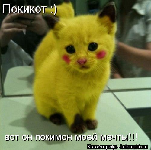 Котоматрица: Покикот :) вот он покимон моей мечты!!!