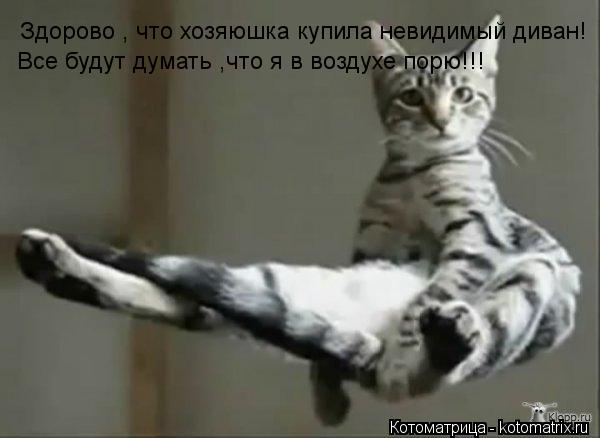 Котоматрица: Здорово , что хозяюшка купила невидимый диван!  Все будут думать ,что я в воздухе порю!!!