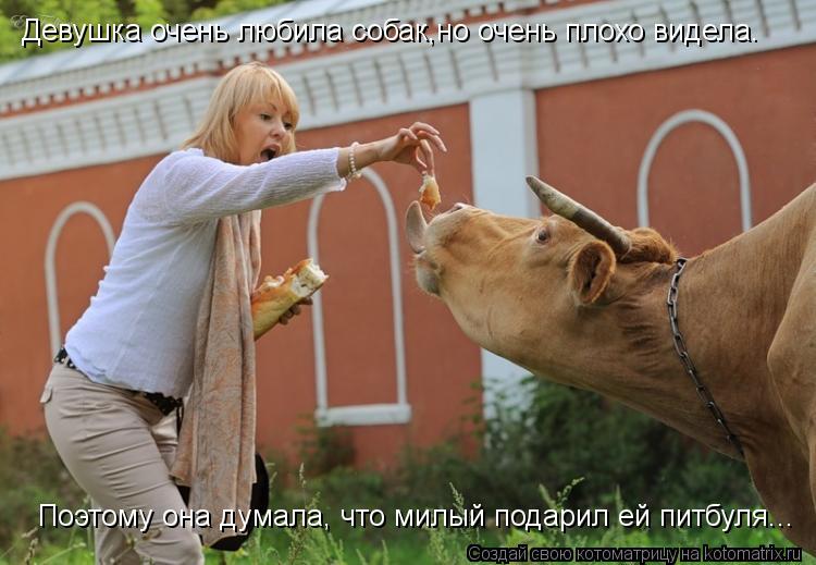 Котоматрица: Девушка очень любила собак,но очень плохо видела. Поэтому она думала, что милый подарил ей питбуля...