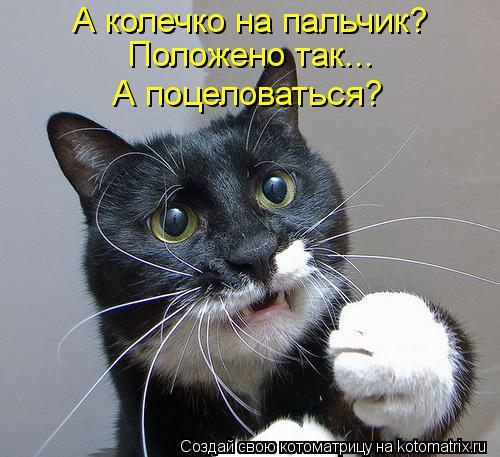 Котоматрица: А колечко на пальчик?  Положено так... А поцеловаться?