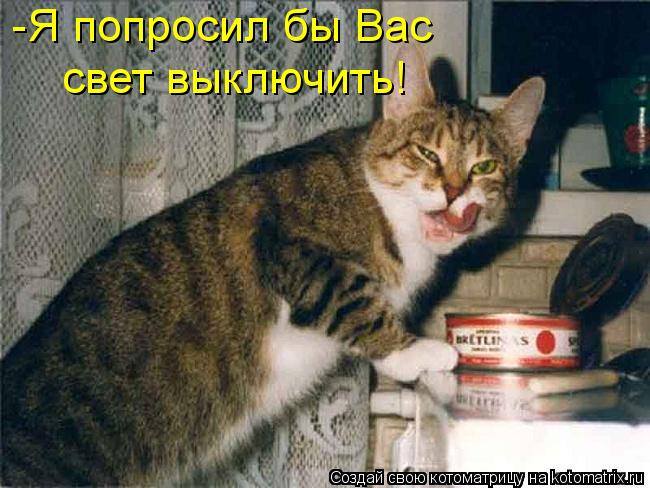 Котоматрица: -Я попросил бы Вас  свет выключить!