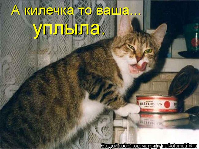 Котоматрица: А килечка то ваша... уплыла.