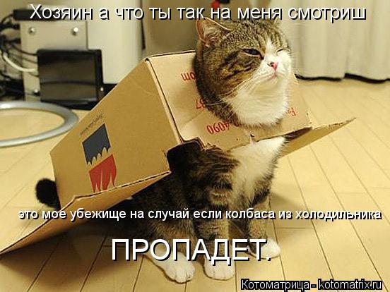 Котоматрица: Хозяин а что ты так на меня смотришь это мое убежище на случай если колбаса из холодильгика пропадет. Хозяин а что ты так на меня смотриш это