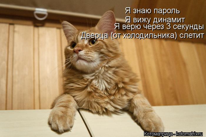 Котоматрица: Я знаю пароль Я вижу динамит Я верю через 3 секунды Дверца (от холодильника) слетит