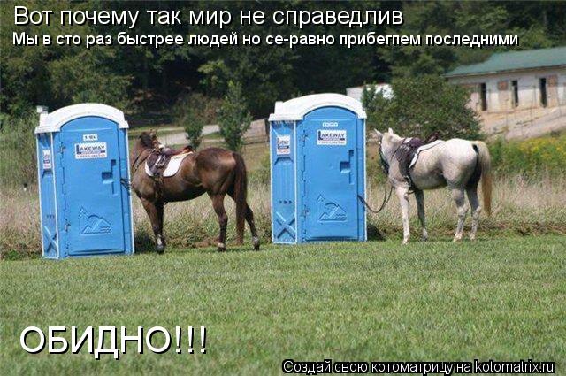 Котоматрица: Вот почему так мир не справедлив Мы в сто раз быстрее людей но се-равно прибегпем последними ОБИДНО!!!