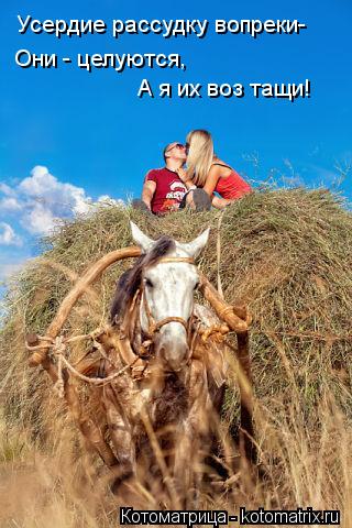 Котоматрица: Усердие рассудку вопреки- Они - целуются, А я их воз тащи!