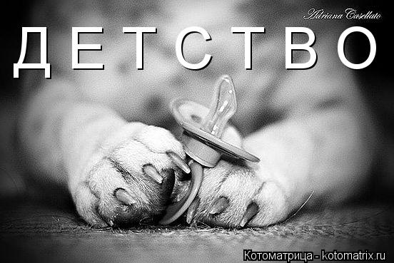 Котоматрица: Д Е Т С Т В О