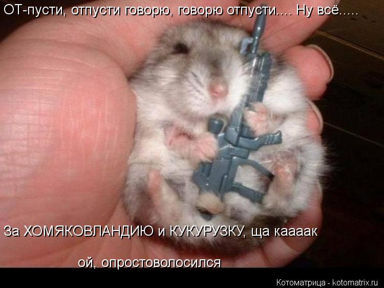 Котоматрица: ОТ-пусти, отпусти говорю, говорю отпусти.... Ну всё..... За ХОМЯКОВЛАНДИЮ и КУКУРУЗКУ, ща каааак  ой, опростоволосился