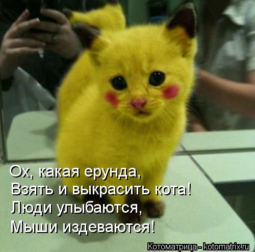 Котоматрица: Ох, какая ерунда, Взять и выкрасить кота! Люди улыбаются, Мыши издеваются!