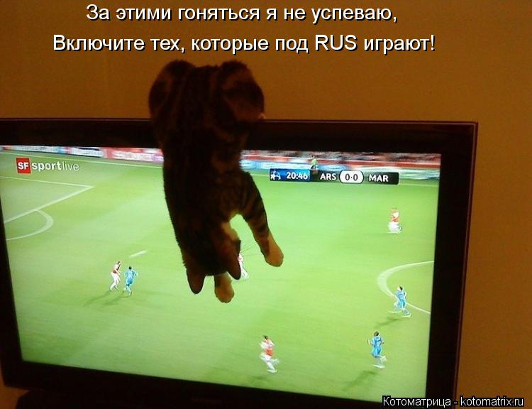 Котоматрица: За этими гоняться я не успеваю, Включите тех, которые под RUS играют!