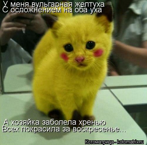Котоматрица: У меня вульгарная желтуха С осложнением на оба уха А хозяйка заболела хренью Всех покрасила за воскресенье...