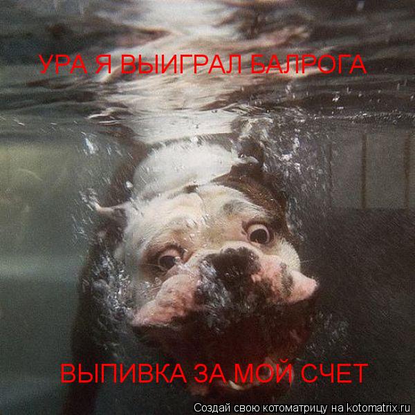 Котоматрица: УРА Я ВЫИГРАЛ БАЛРОГА ВЫПИВКА ЗА МОЙ СЧЕТ