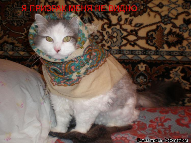 Котоматрица: Я ПРИЗРАК МЕНЯ НЕ ВИДНО