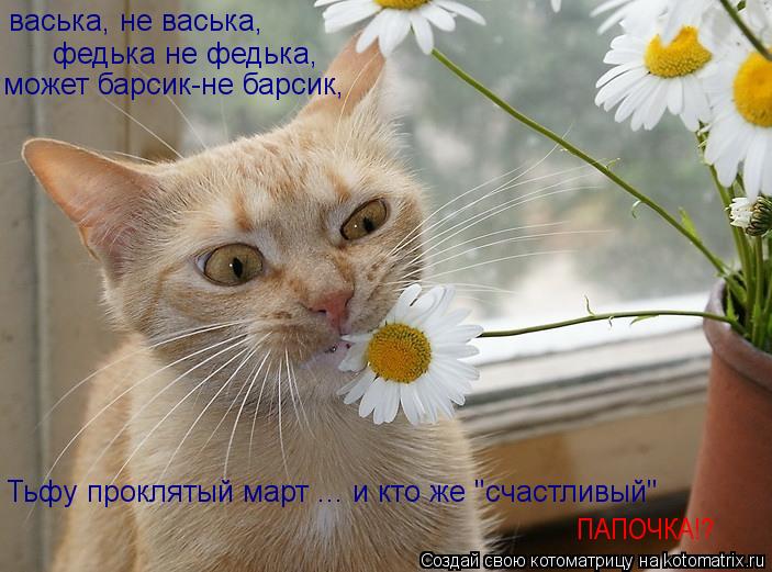 Котоматрица: васька, не васька, федька не федька, может барсик-не барсик, Тьфу проклятый март ... и кто же "счастливый" ПАПОЧКА!?