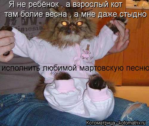 Котоматрица: Я не ребёнок , а взрослый кот  там болие весна , а мне даже стыдно  исполнить любимой мартовскую песню