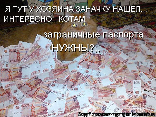 Котоматрица: Я ТУТ У ХОЗЯИНА ЗАНАЧКУ НАШЕЛ... ИНТЕРЕСНО,  КОТАМ  НУЖНЫ?,, заграничные паспорта