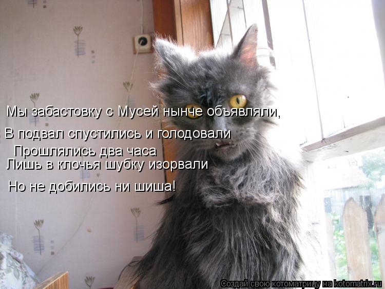 Котоматрица: Мы забастовку с Мусей нынче объявляли, В подвал спустились и голодовали Прошлялись два часа Лишь в клочья шубку изорвали Но не добились ни 
