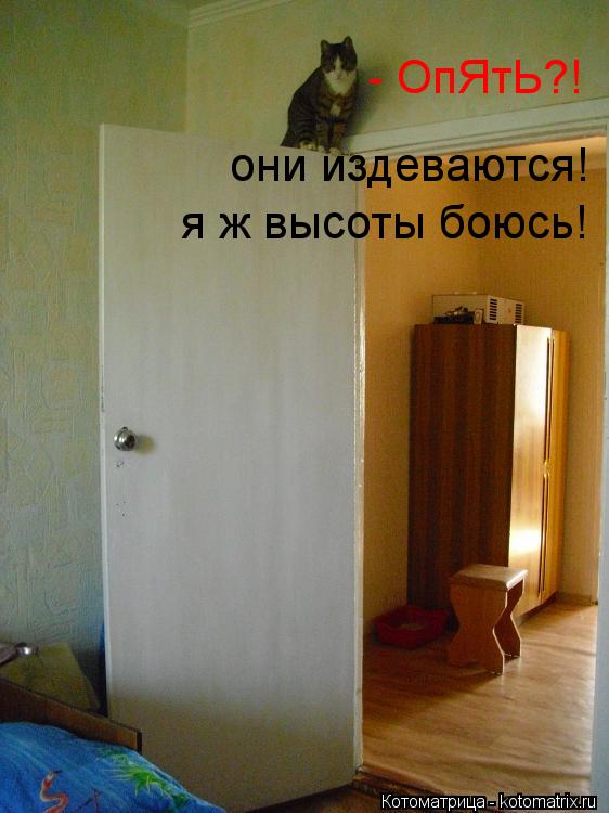 Котоматрица: - ОпЯтЬ?! они издеваются! я ж высоты боюсь!