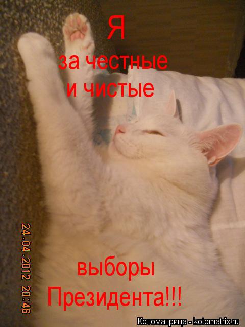 Котоматрица: Я  за честные и чистые выборы  Президента!!!