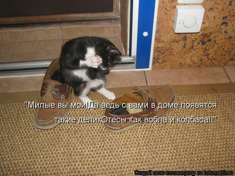 Котоматрица: "Милые вы мои!Да ведь с вами в доме появятся такие деликОтесы как вобла и колбаса!!"