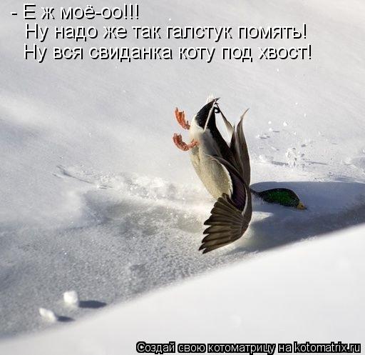 Котоматрица: - Е ж моё-оо!!! Ну надо же так галстук помять! Ну вся свиданка коту под хвост!