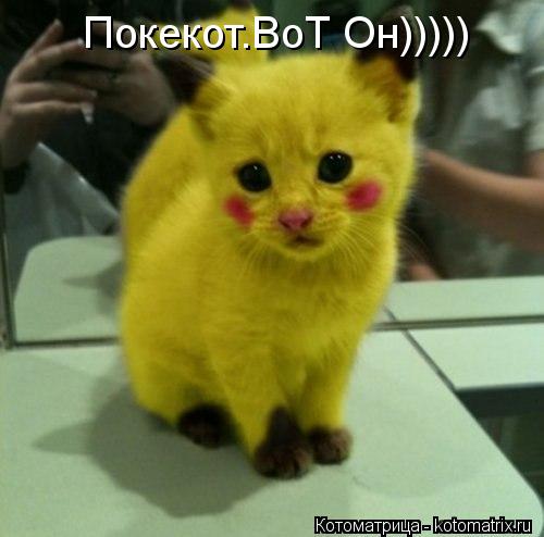 Котоматрица: Покекот.ВоТ Он)))))