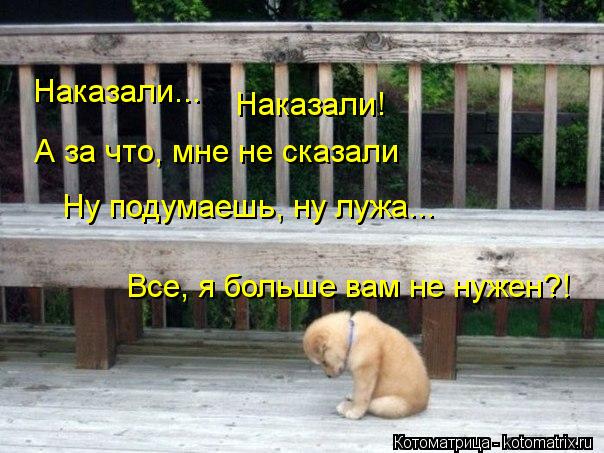 Котоматрица: Наказали... Наказали! А за что, мне не сказали Ну подумаешь, ну лужа... Все, я больше вам не нужен?!