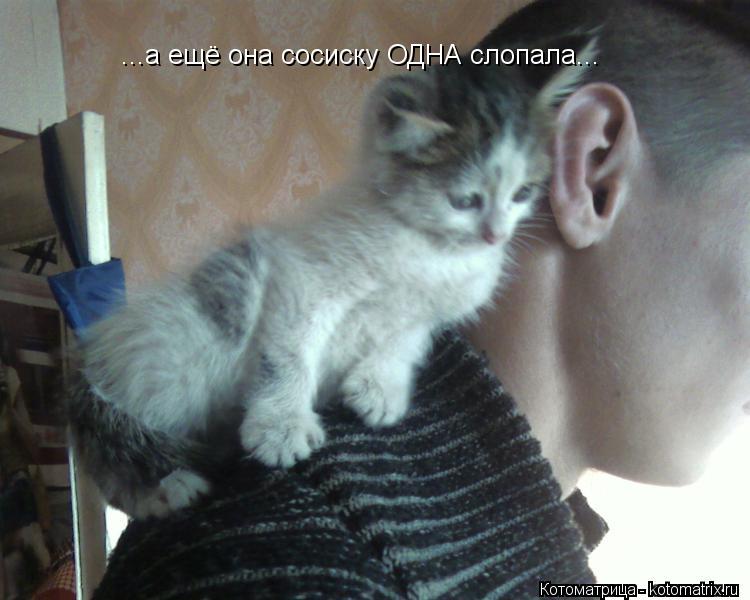 Котоматрица: ...а ещё она сосиску ОДНА слопала...