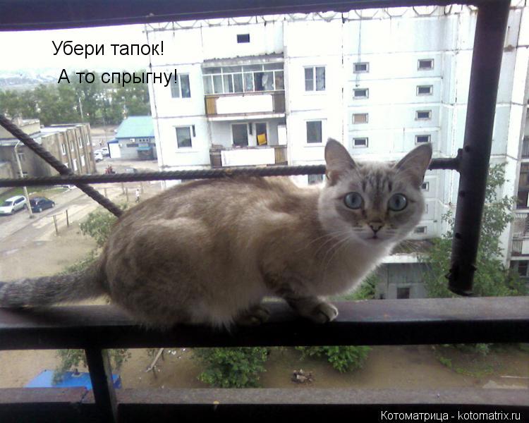 Котоматрица: Убери тапок! А то спрыгну!