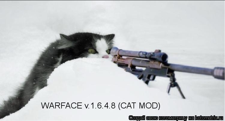 Котоматрица: WARFACE v.1.6.4.8 (CAT MOD)
