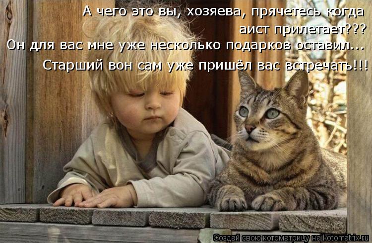 Котоматрица: А чего это вы, хозяева, прячетесь когда аист прилетает??? Он для вас мне уже несколько подарков оставил... Старший вон сам уже пришёл вас встре
