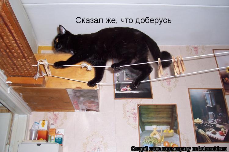 Котоматрица: Сказал же, что доберусь