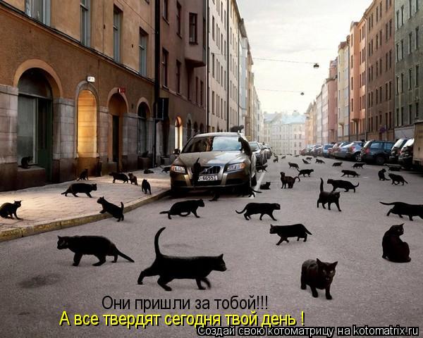 Котоматрица: Они пришли за тобой!!! А все твердят сегодня твой день !